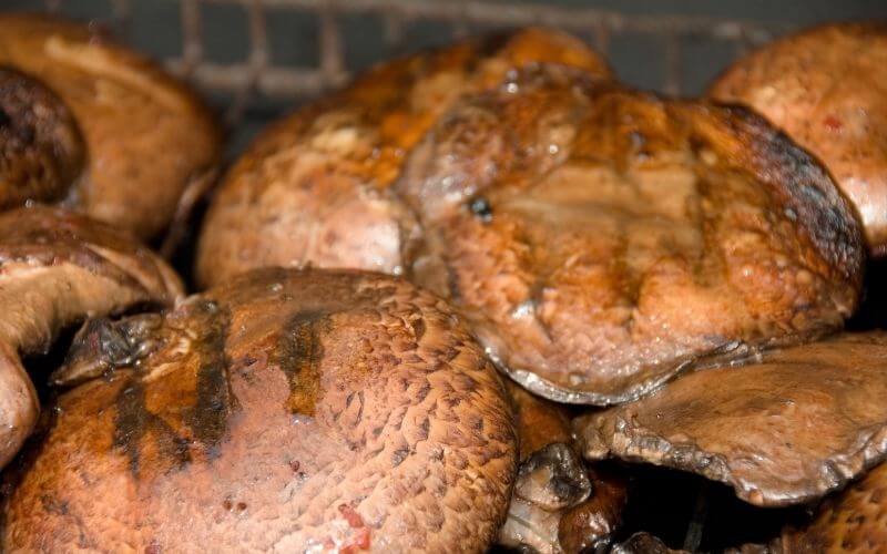 Can You Eat The Gills Of A Portobello Mushroom?