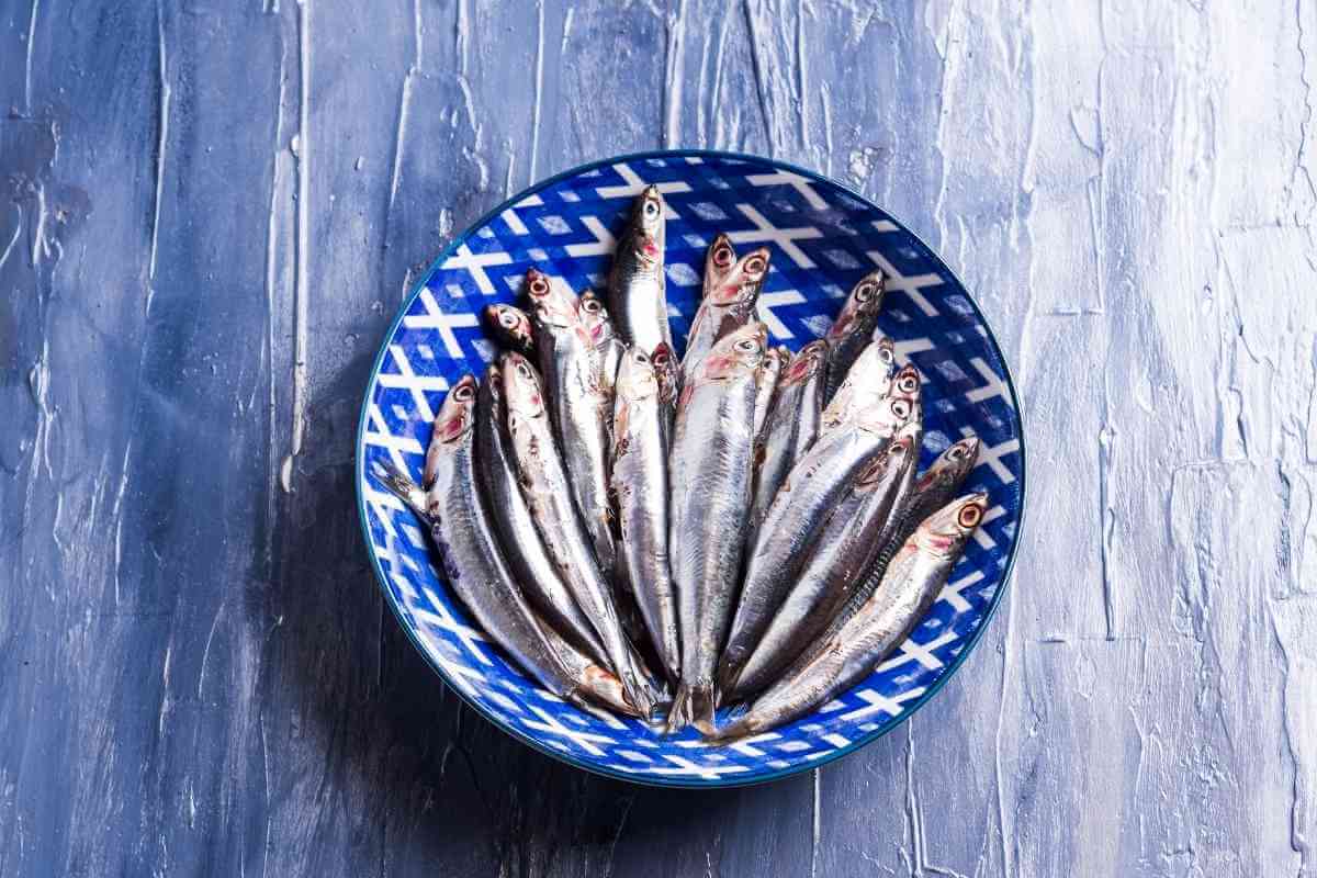 8 Best Shrimp Paste Substitutes