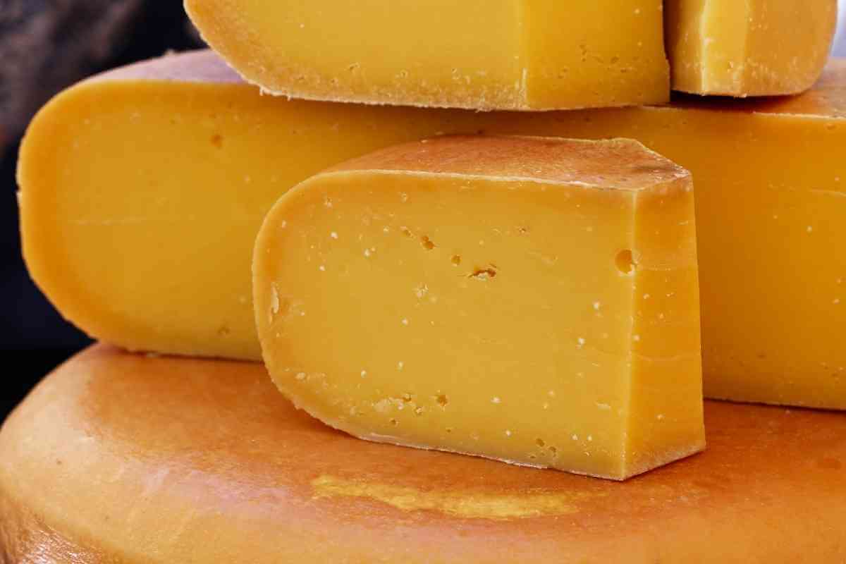 8 Best Provolone Cheese Substitutes