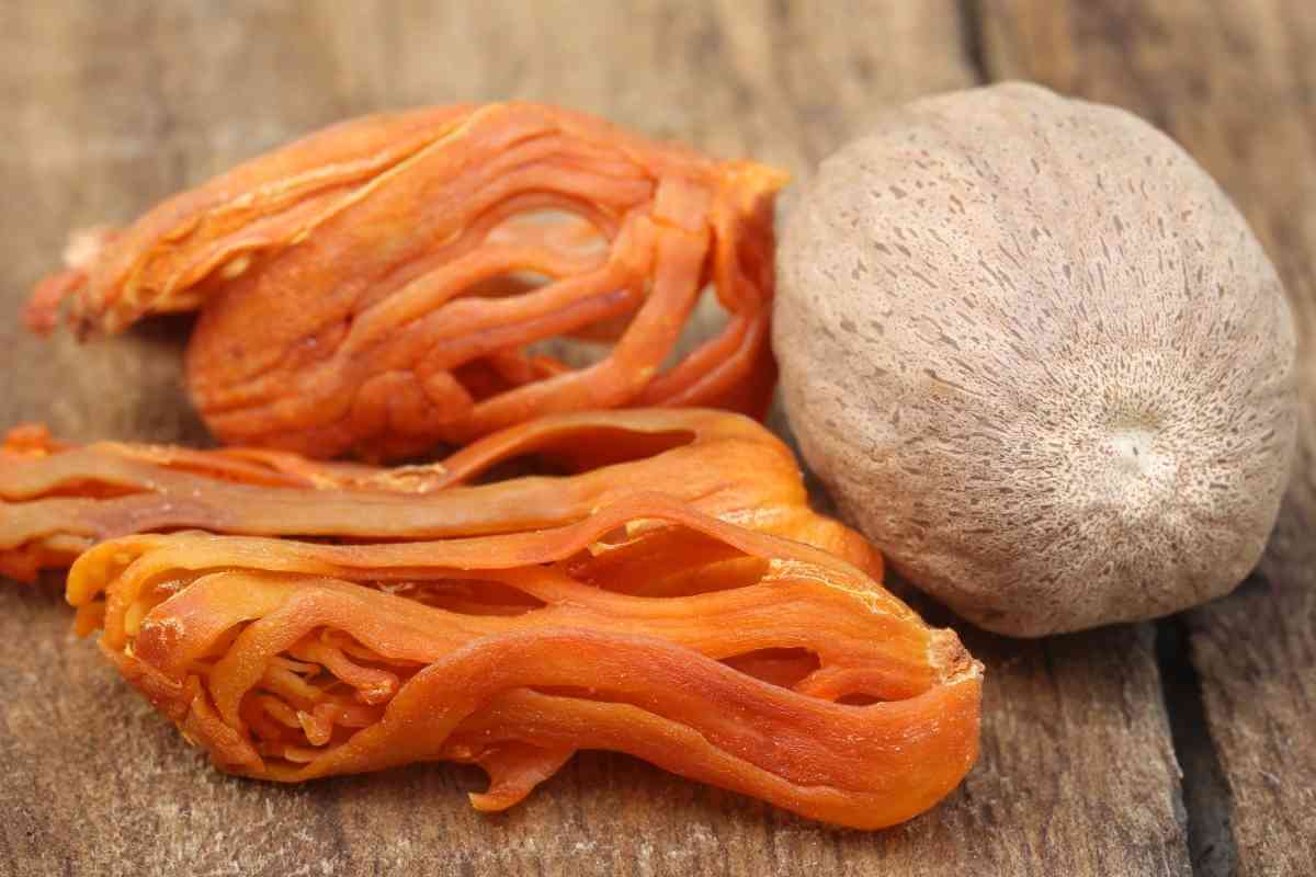 10 Best Black Cardamom Substitutes