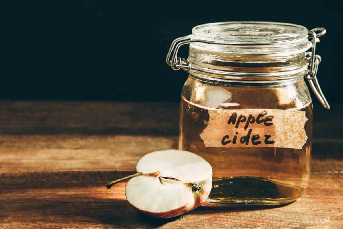 12 Best Substitutes For Apple Cider