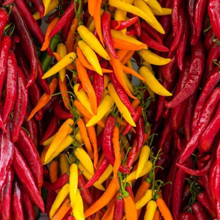 8 Best Pepper Jack Cheese Substitutes