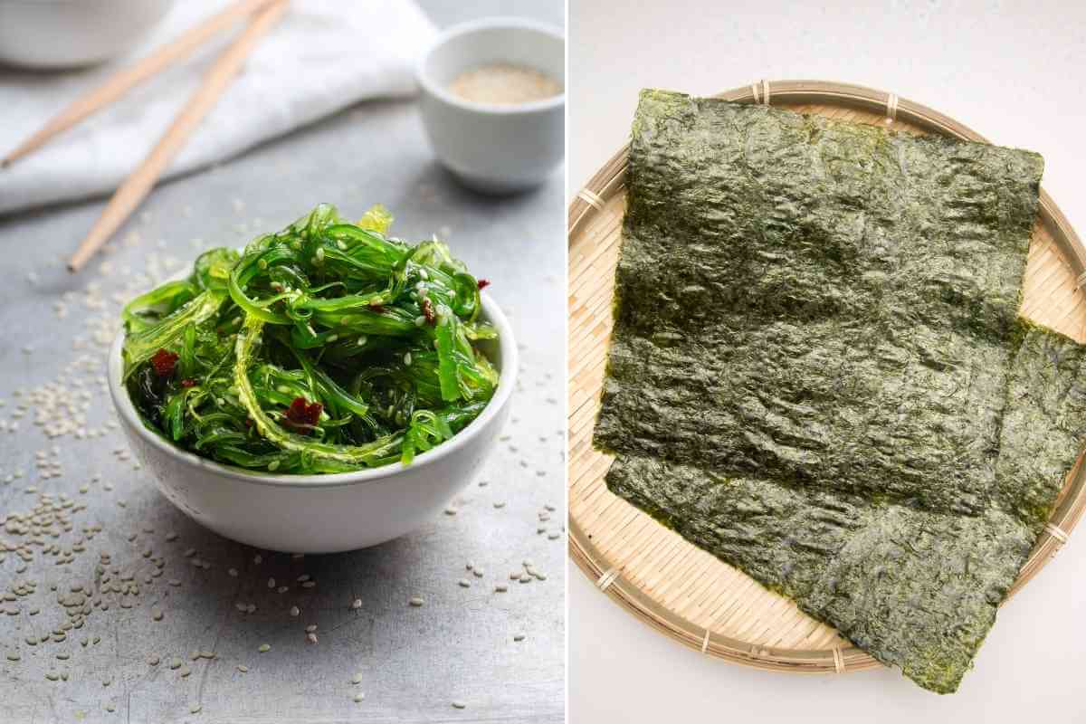 Wakame Vs Nori (Major Differences)