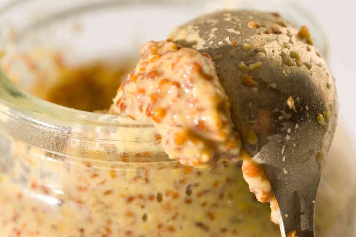 Dijon Mustard Vs Mustard (Key Differences)