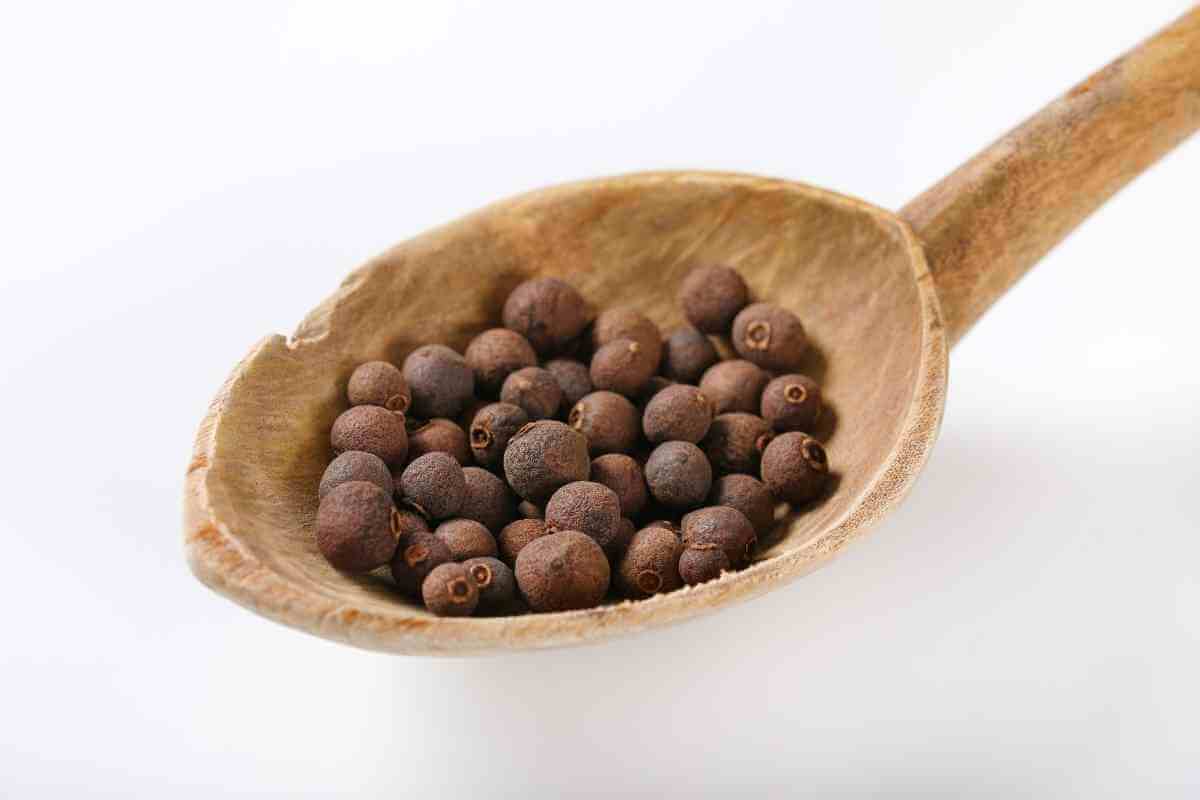 9 Best Substitutes For Allspice Berries