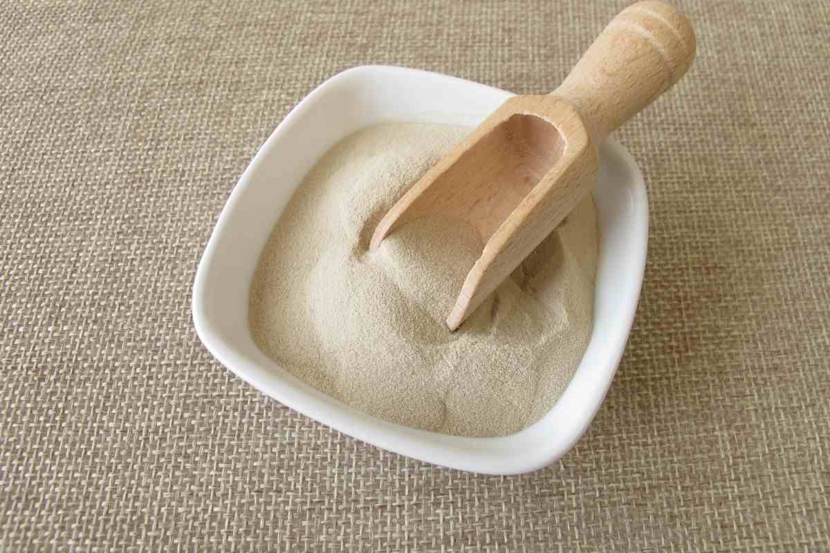 Agar Agar Vs Gelatin Major Differences