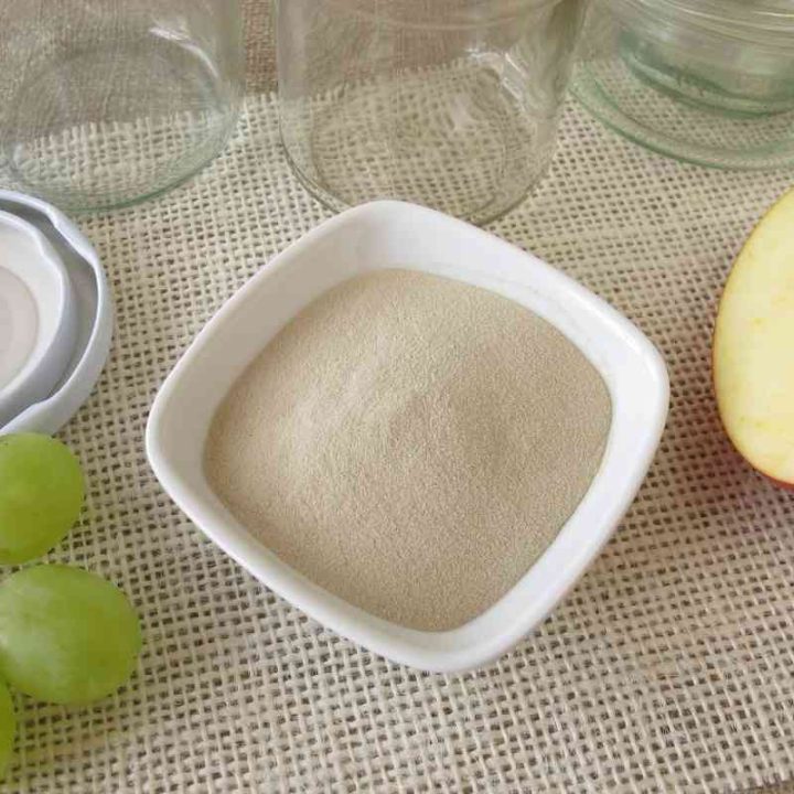 Agar Flakes Vs Powder (Major Differences)