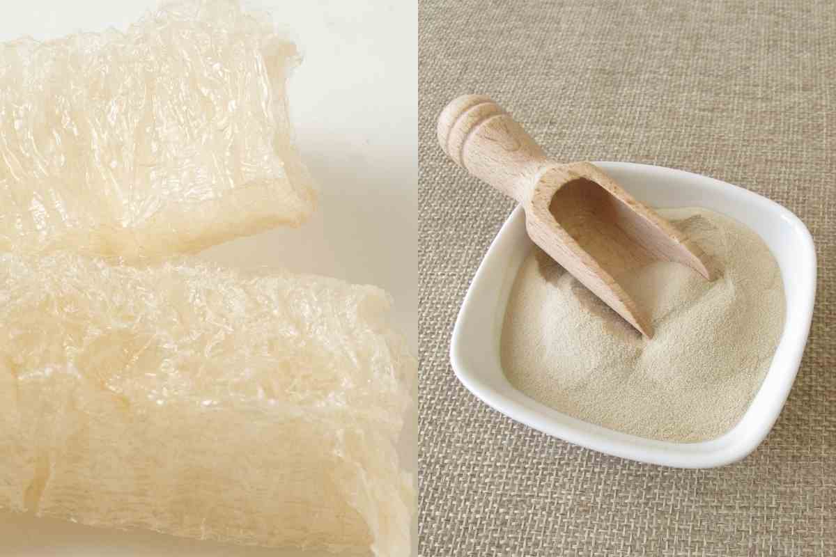 Agar Flakes Vs Powder (Major Differences)