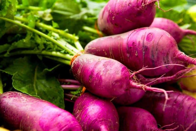 Can You Eat Turnip Raw? (Is It Safe?)