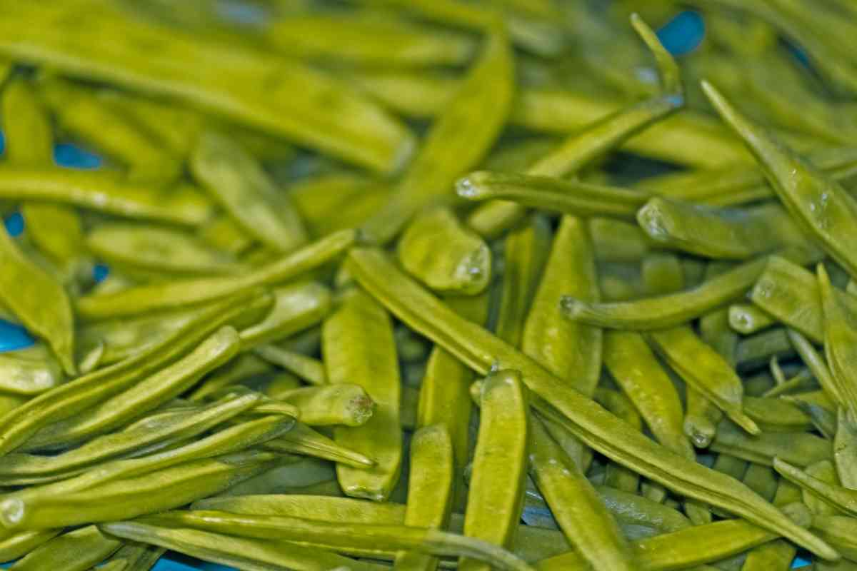 Guar Gum Vs Agar Agar (Key Differences)