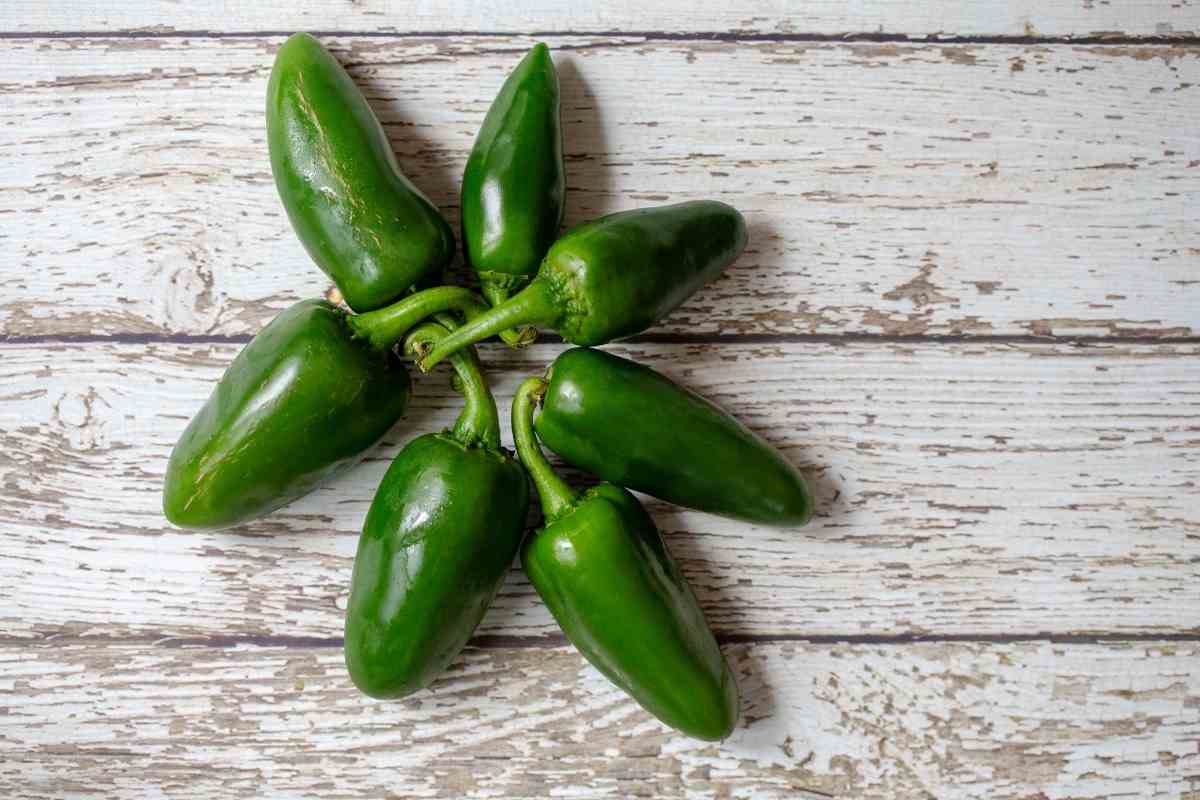 9 Best Pasilla Chile Substitutes