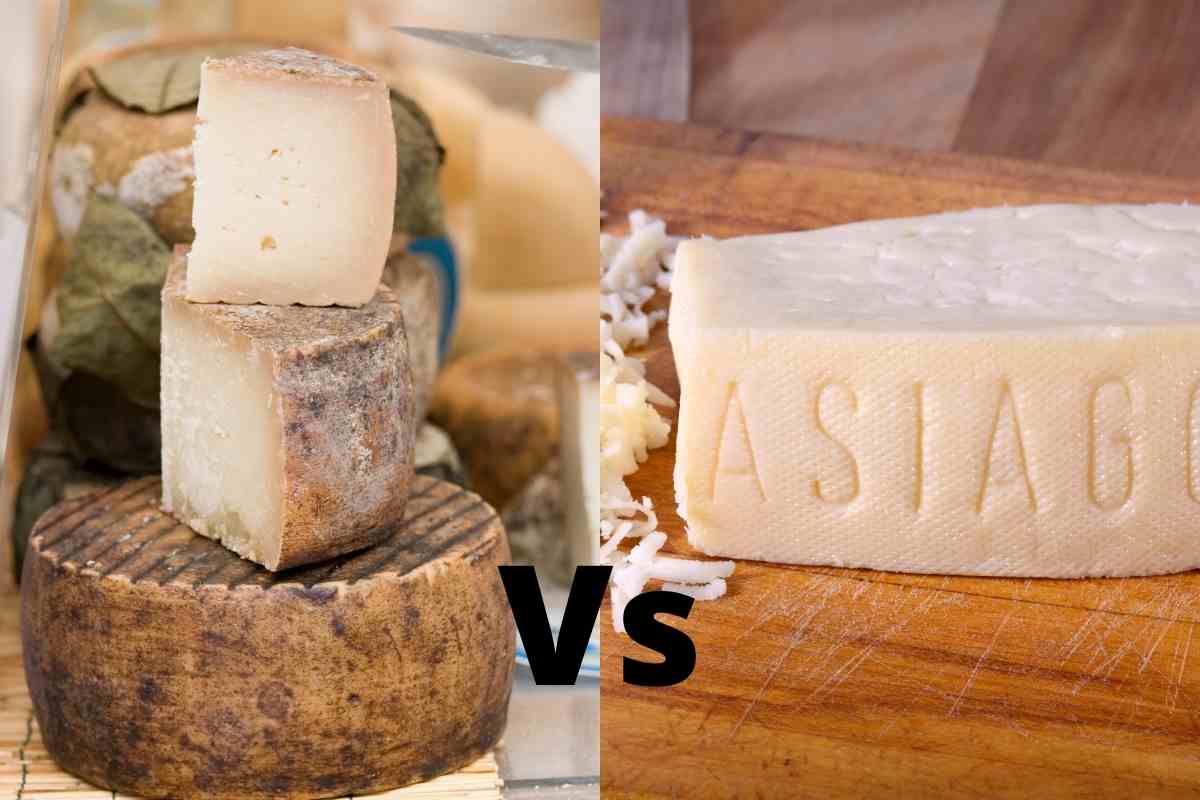 Pecorino Cheese Vs Asiago What's the Difference?