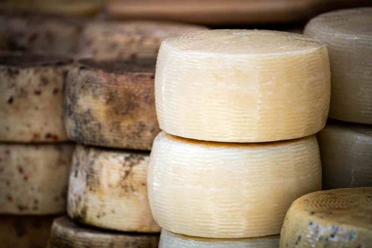 Pecorino Cheese Vs Asiago What's the Difference?