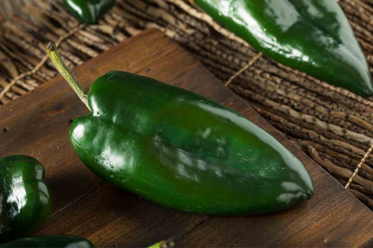 9 Best Pasilla Chile Substitutes