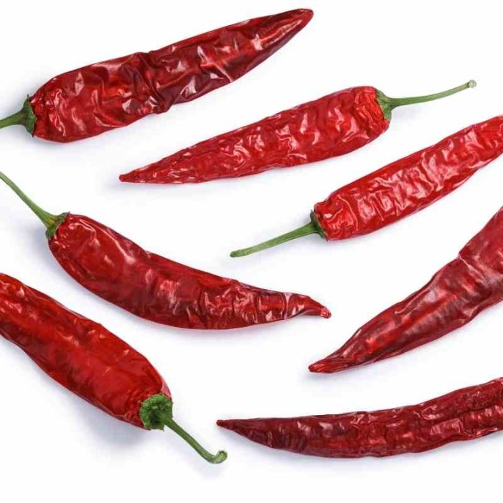 6 Best German Mustard Substitutes