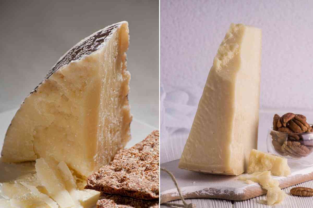 Romano Cheese Vs Parmesan What Are Their Differences?