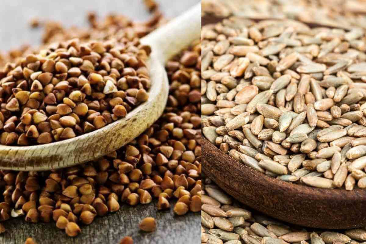 Buckwheat Vs Rye Flour Major Differences