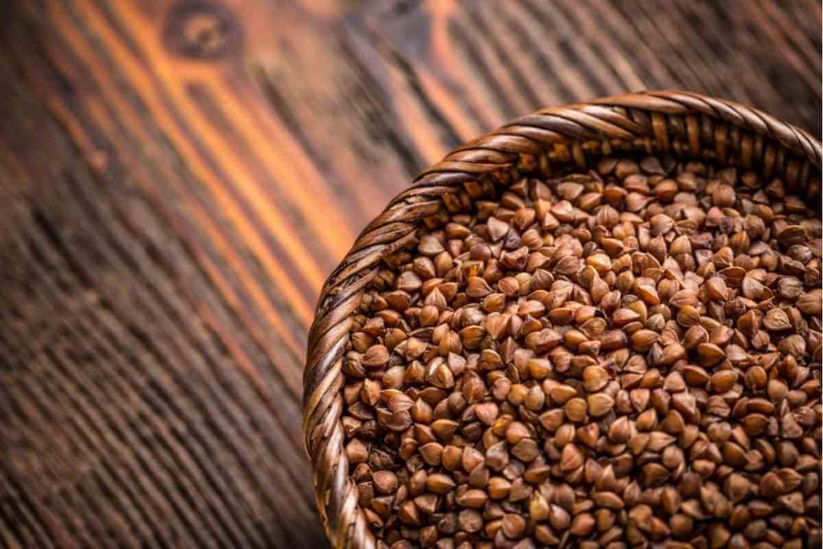 Buckwheat Vs Rye Flour Major Differences