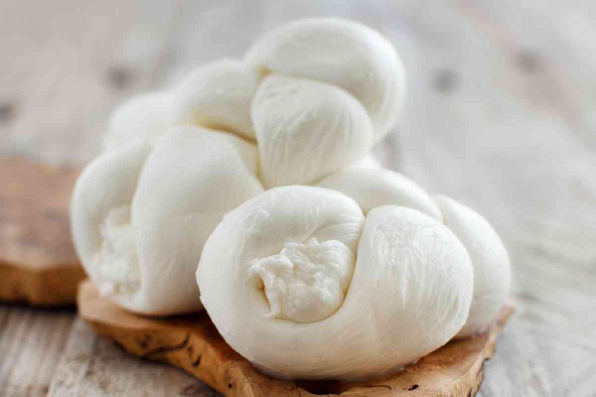 Is Havarti Cheese Similar to Mozzarella?