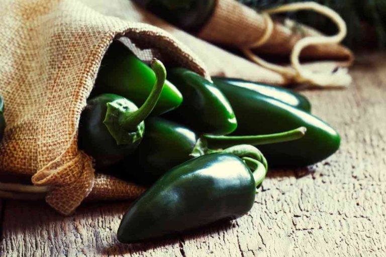10 Best Arbol Chile Substitutes