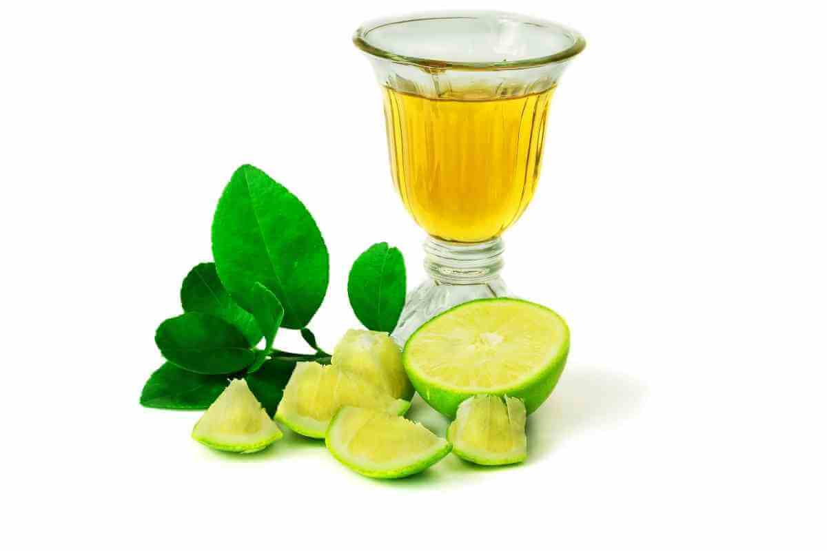 3 Best Distilled Vinegar Substitutes