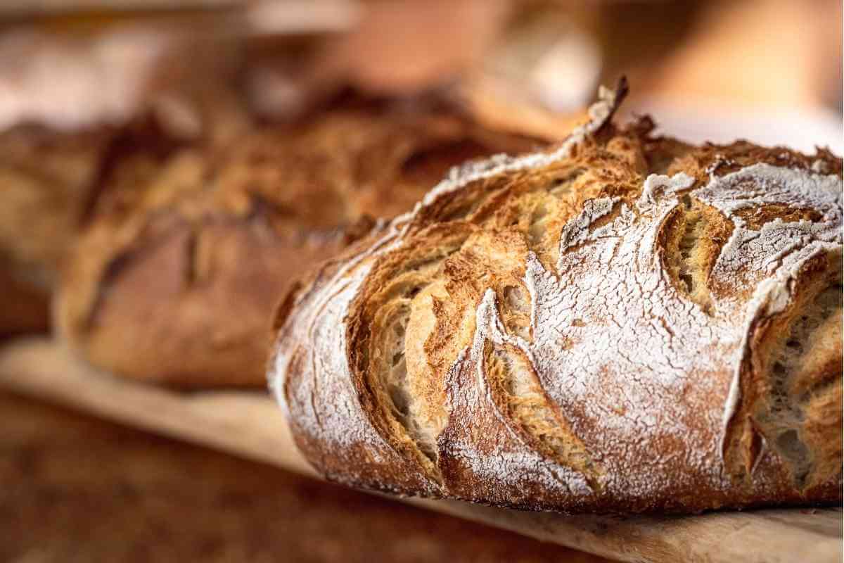 What to Eat with Sourdough Bread (9 Ideal Side Dishes)