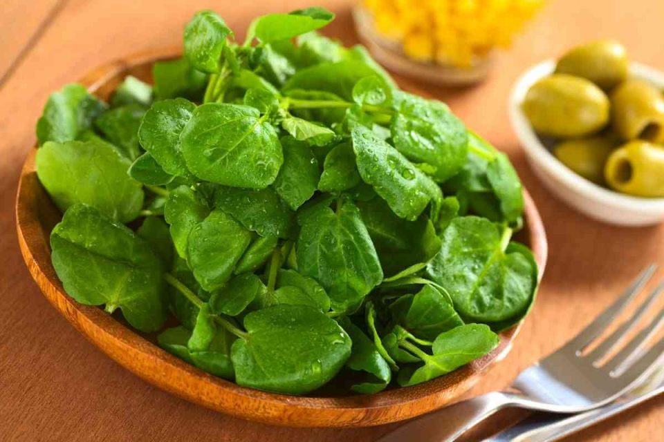 9 Best Kasuri Methi Substitutes