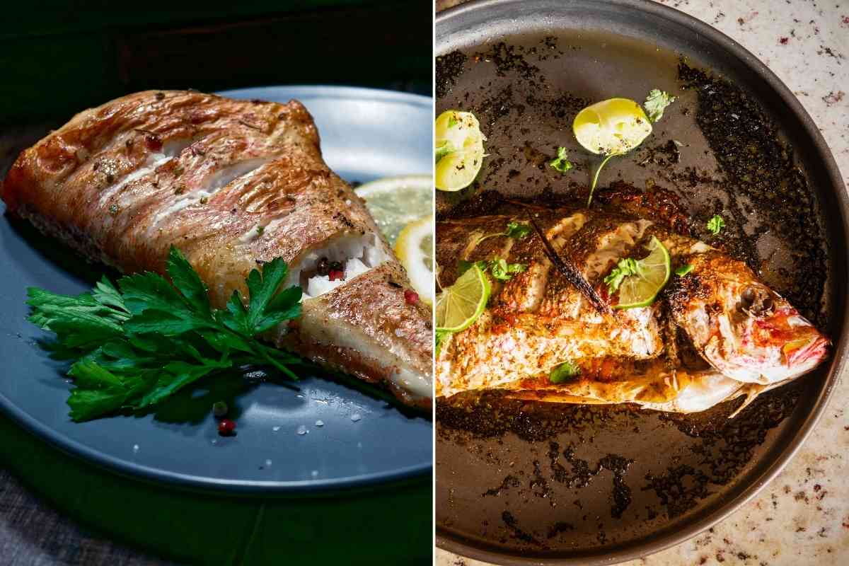 Rockfish Vs Red Snapper Are They the Same?