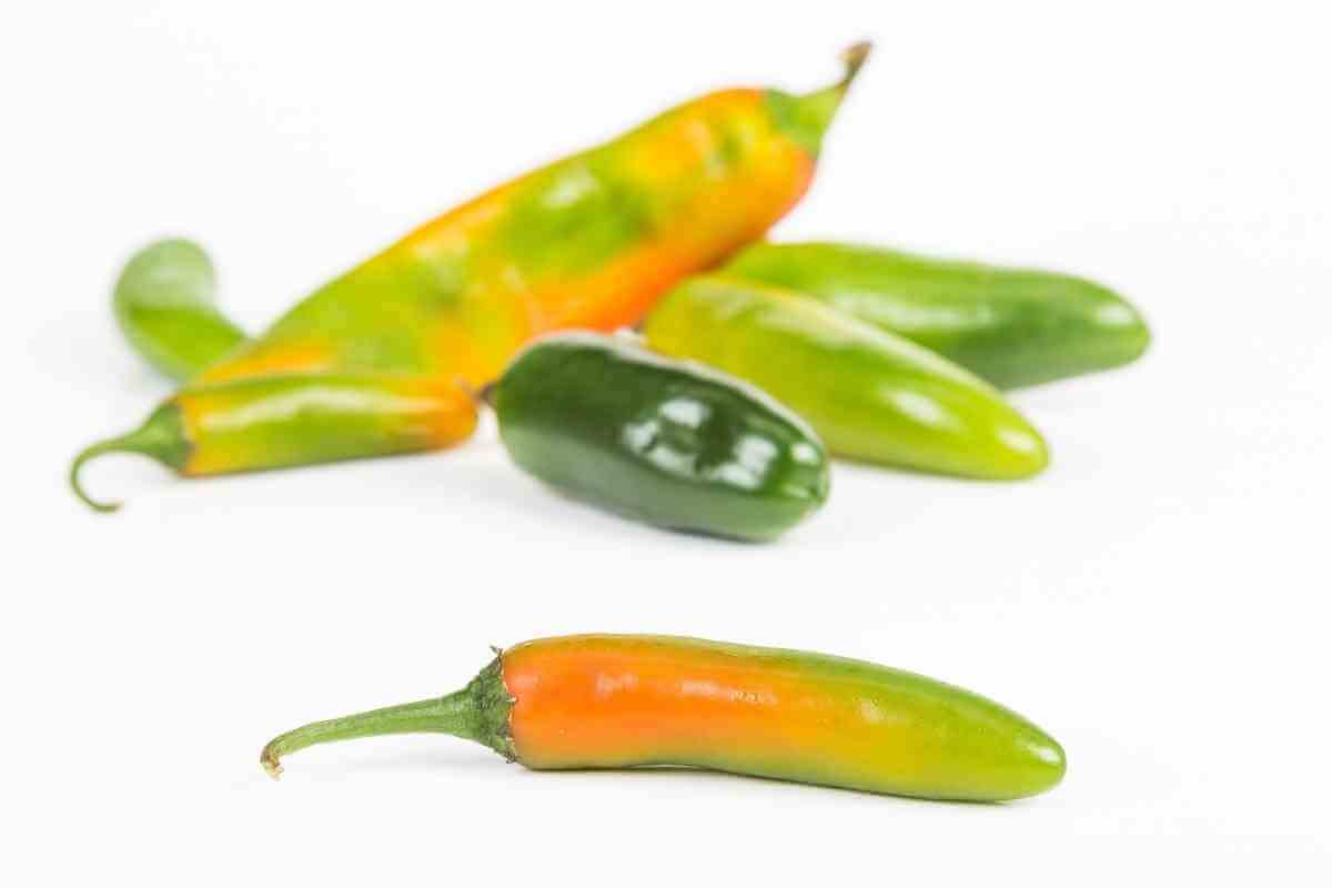 10 Best Habanero Pepper Substitutes