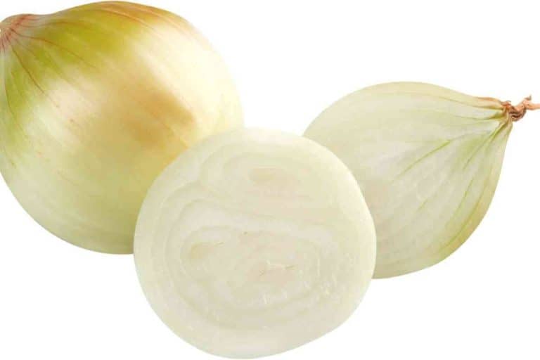 Vidalia Onion Vs Yellow Onion Key Differences