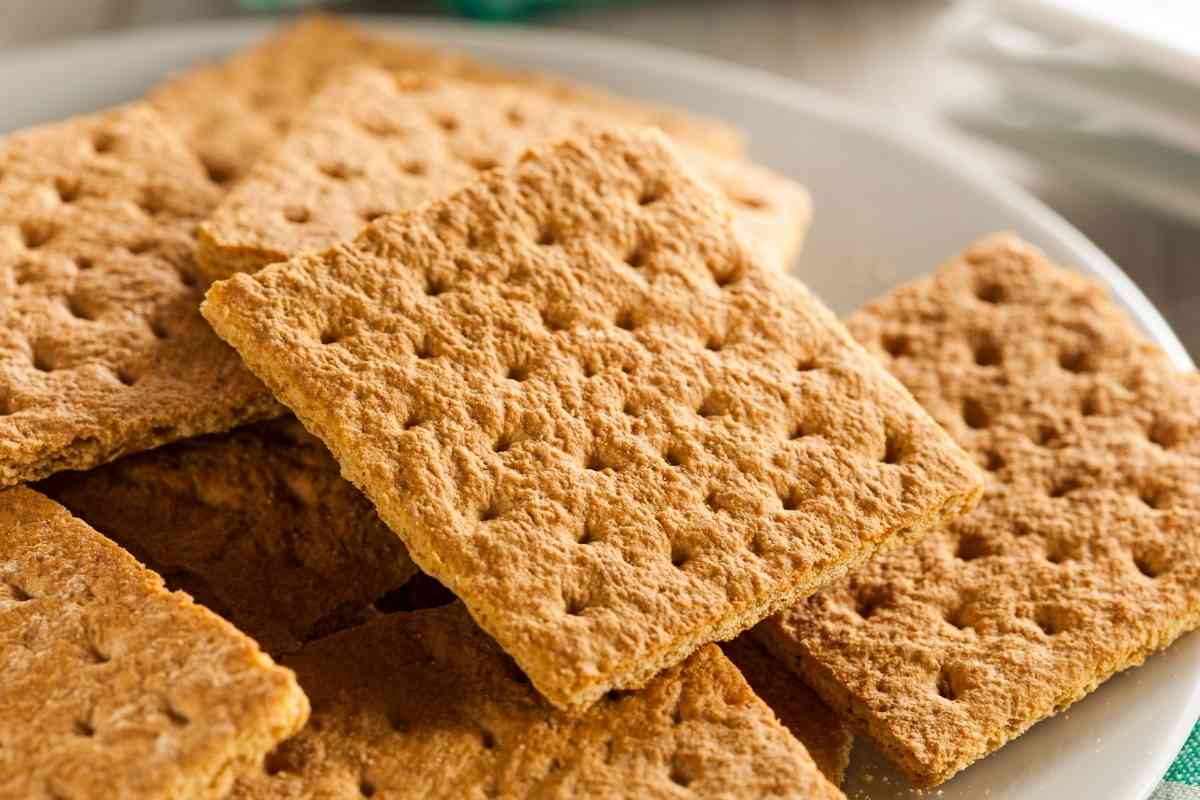7 Best Nilla Wafers Substitutes