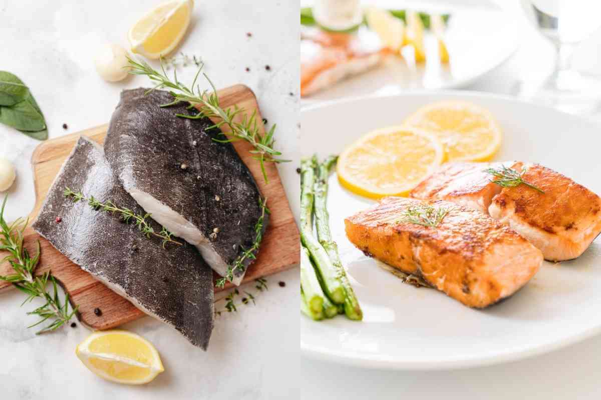 Halibut Vs Salmon Key Differences