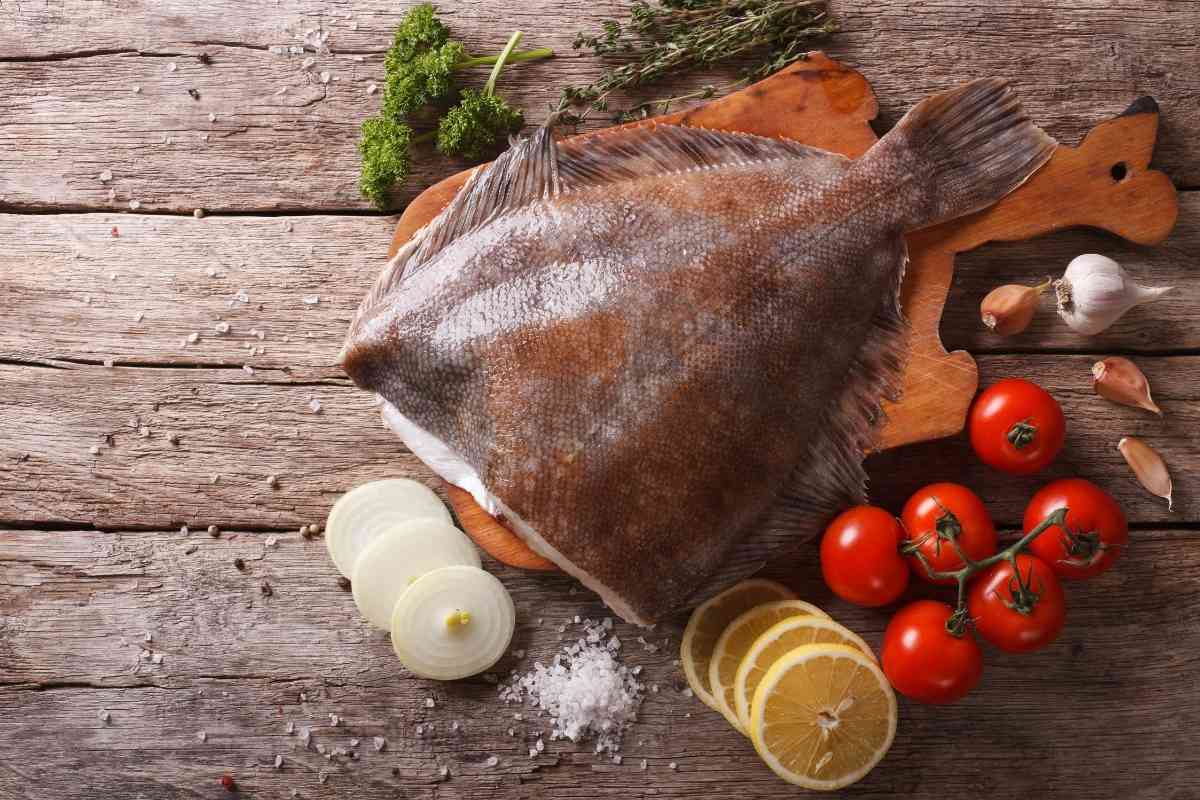 Halibut Vs Flounder Major Differences