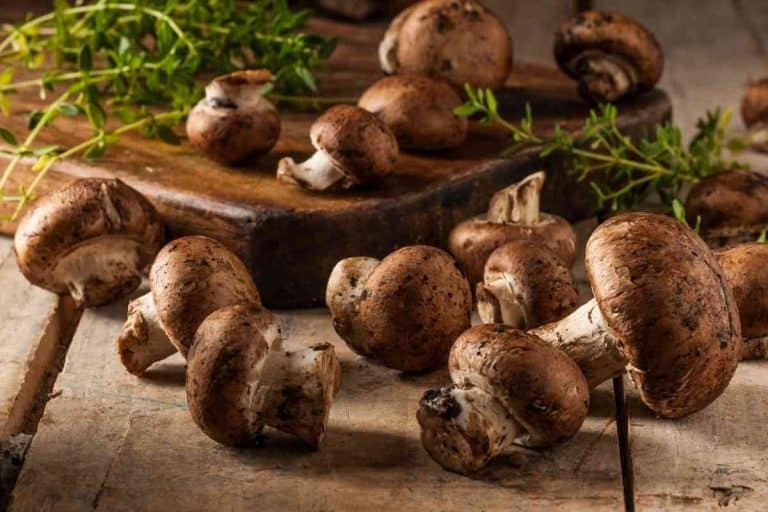 Can You Eat The Gills Of A Portobello Mushroom?