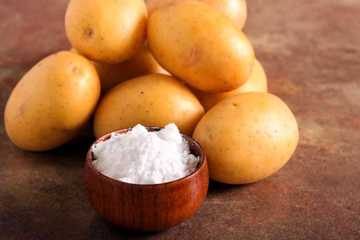 Tapioca Starch Vs Potato Starch What