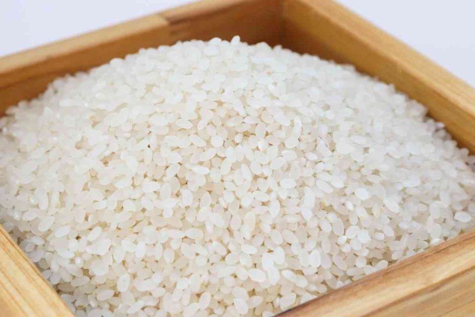 21 Most Eaten Foods In The World (With PHOTOS)