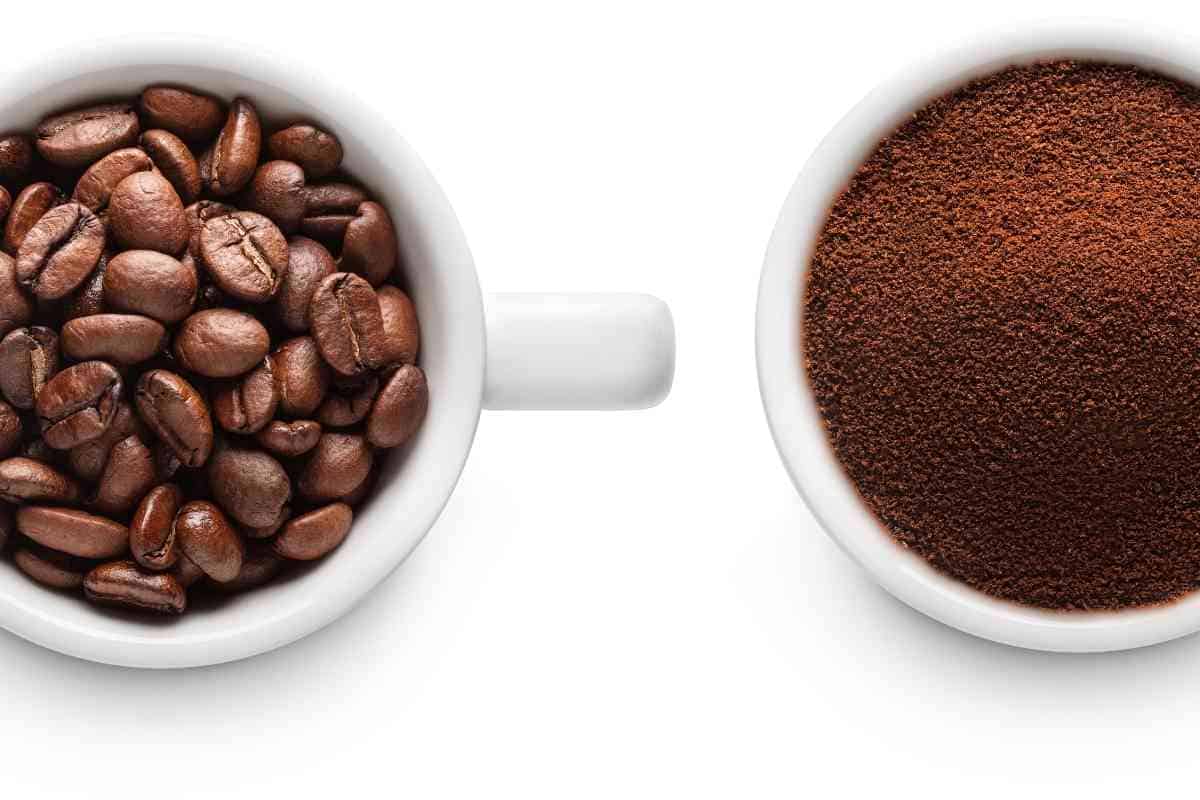 Whole Bean Vs Ground Coffee What To Know!